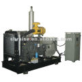 Water-cooled diesel generator